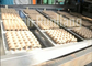 Chaîne de production de papier bon marché de plateau d'oeufs plateau d'oeufs faisant la machine avec le four à briques