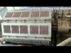 Carton d'oeufs/Tray Making Machine de papier, fruit durable Tray Making Machine