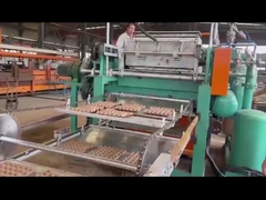 plateau de papier d'oeufs faisant la machine de bâti de pulpe de machine pour la petite entreprise