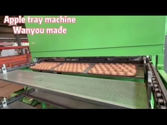 Le papier de rebut réduisent en pulpe l'oeuf Tray Making Machine d'Apple