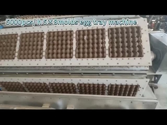 Oeuf Tray Production Line