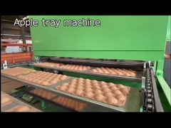Machine à fabriquer des boîtes à œufs en pâte à papier à haut rendement, Machine à fabriquer des barquettes de fruits