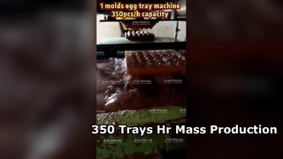 Machine à plateaux à œufs, 3000 pièces, production de masse par heure