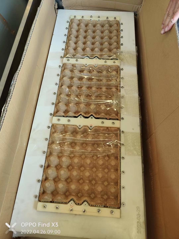 Ligne de production entièrement automatique de cartons d'œufs de grande capacité 3*4