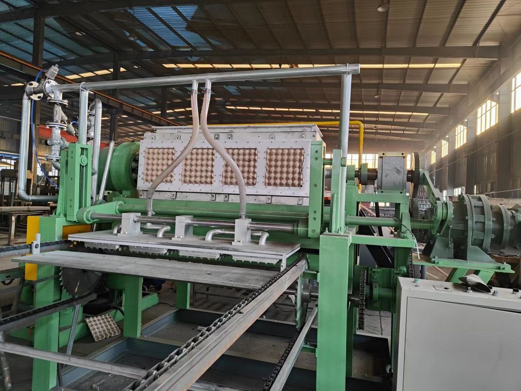 2500pcs/h 4*4 moules machine à régler les plateaux à œufs en papier rotatif et matériau de moulage en plastique pour la production de plateaux à œufs