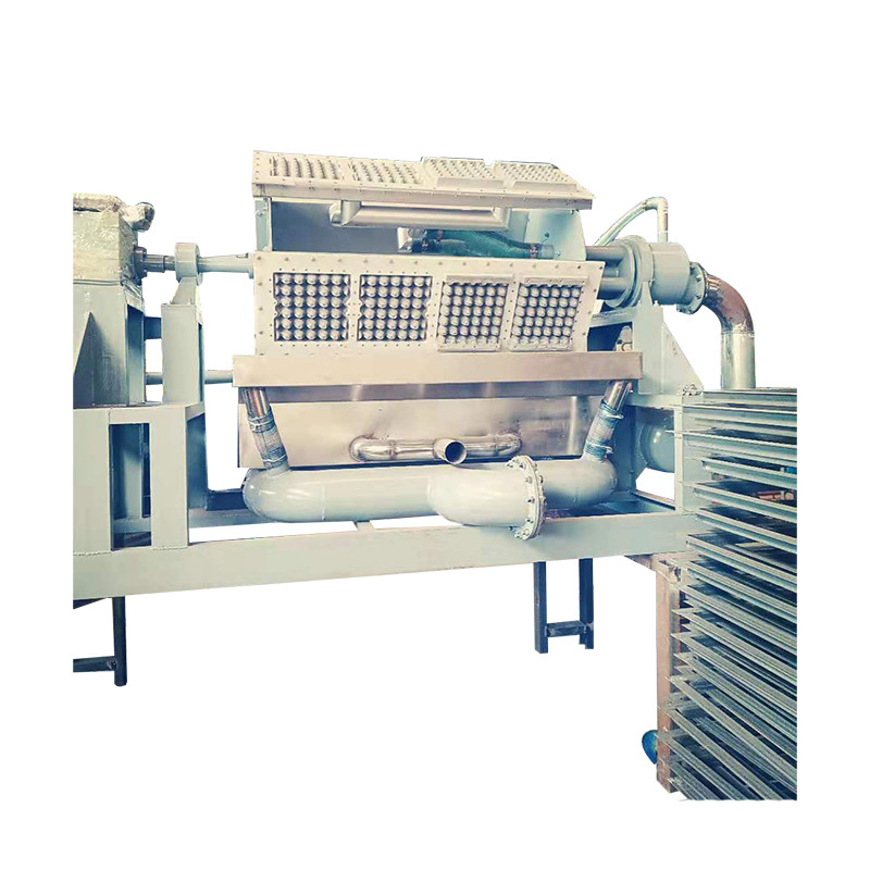 Machine de fabrication de cartons d'œufs écologiques Plateau à œufs Machine de moulage de pâte de papier pour des solutions d'emballage durables
