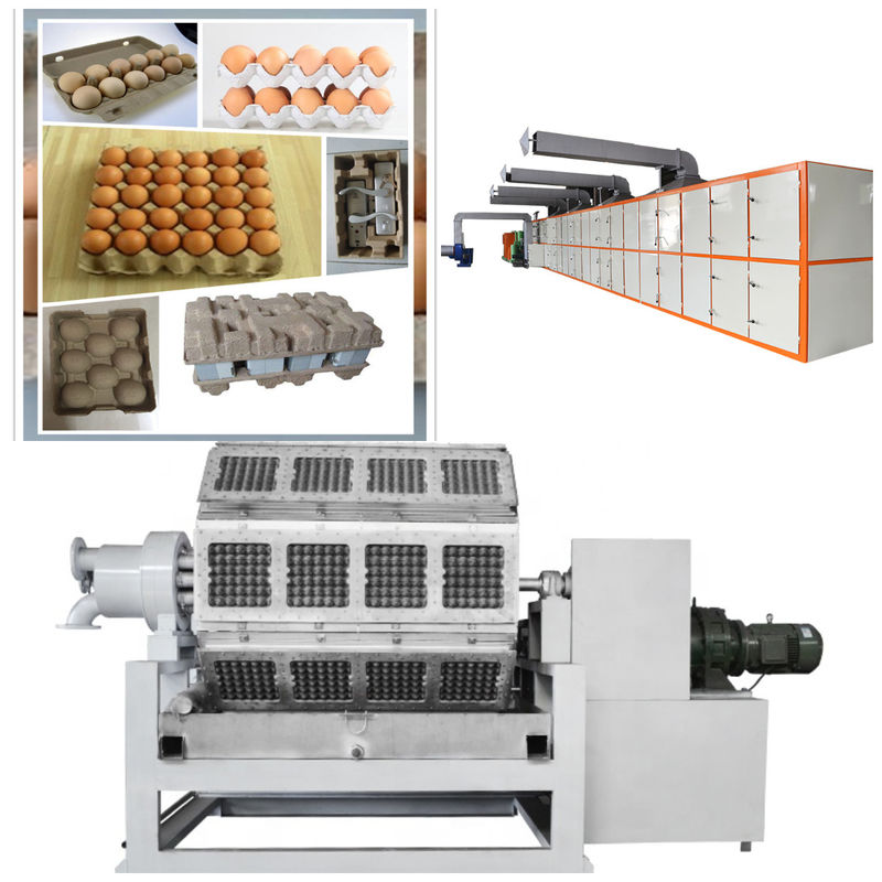 Enviroment Friendly Eggs Packaging Paper Egg Tray Machine / Pulp Molding Equipment /Egg Tray Production Line With PLC Control