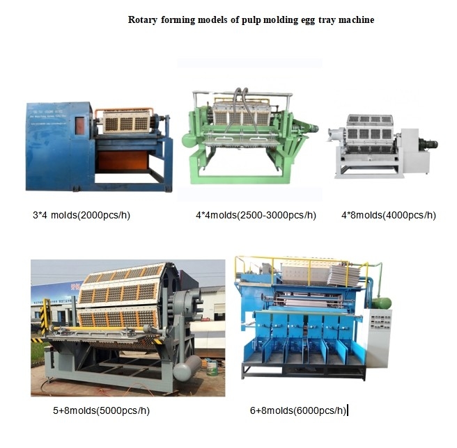 70-150KW Grande capacité personnalisable papier machine de plateau d'œufs pour plateau d'œufs plateau d'œufs de pomme Carton d'œufs Fabrication avec une technologie avancée et une faible consommation d'énergie