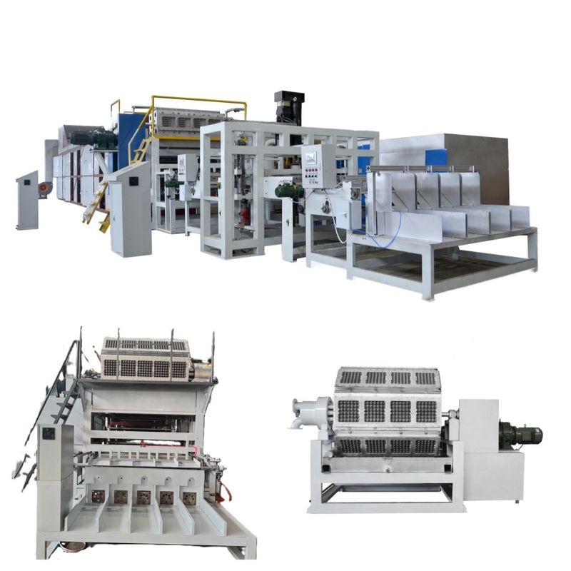 5000 pièces/h ligne de production de plateaux à œufs rotatifs intégrant une technologie d'empilage et de séchage automatique pour une fabrication rationalisée contrôlée par un PLC
