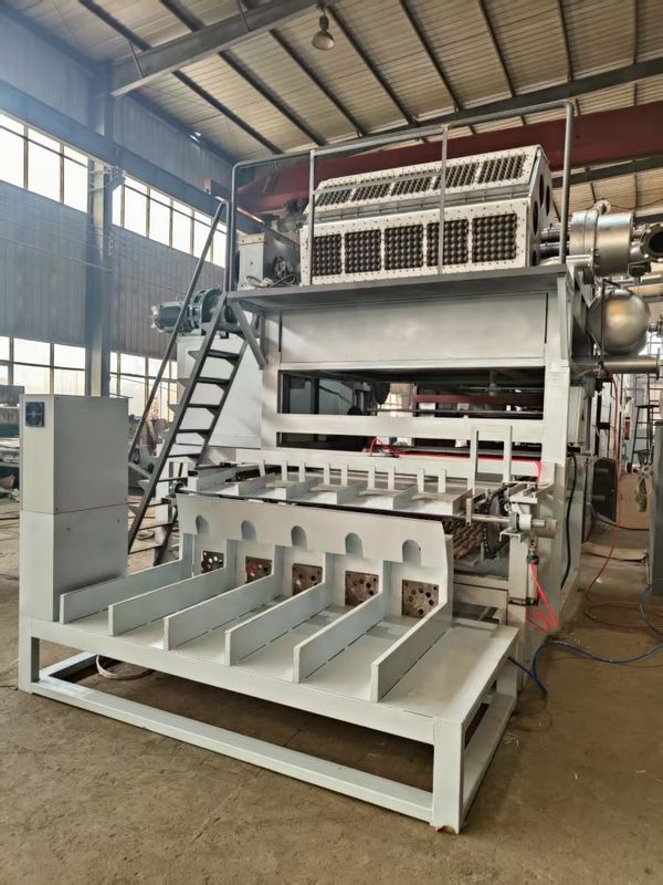 Machine entièrement automatique de formage de plateaux à œufs conçue pour des performances stables et une production constante dans l'industrie de l'emballage d'œufs