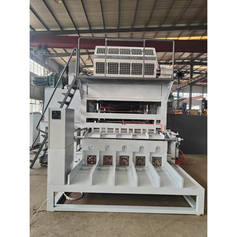 Machine entièrement automatique de formage de plateaux à œufs conçue pour des performances stables et une production constante dans l'industrie de l'emballage d'œufs