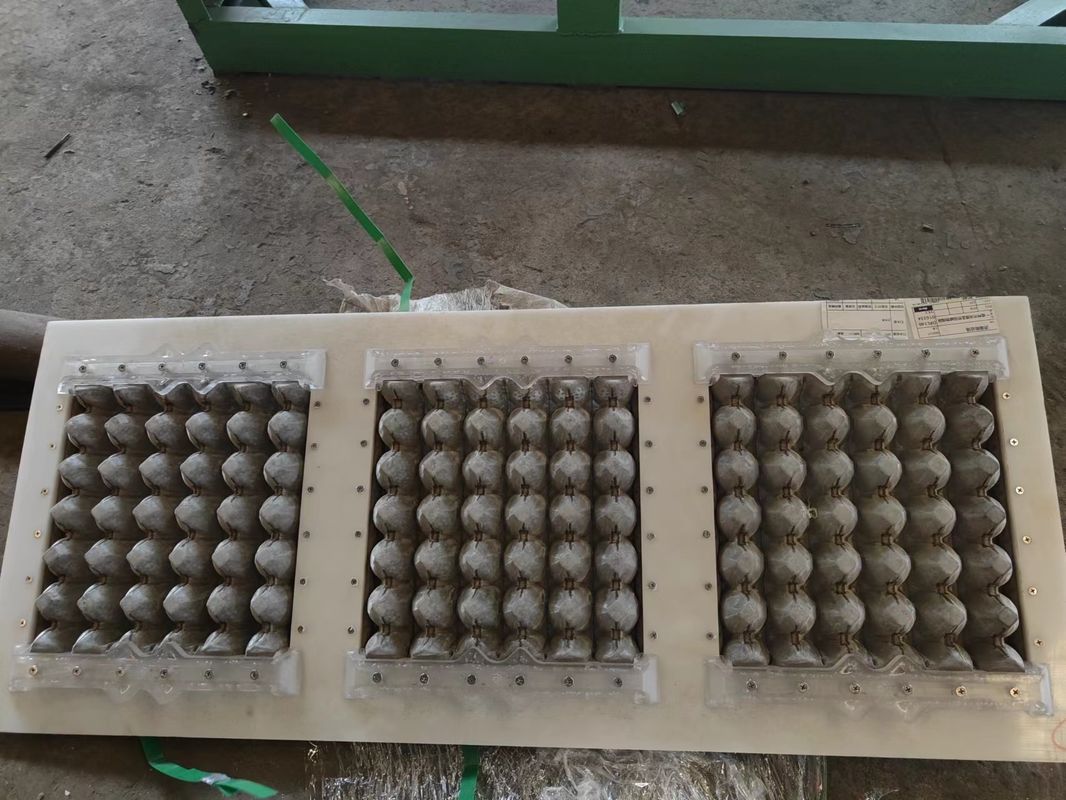 Machine à plateaux à œufs moulés en pâte à 30 trous personnalisée avec moule en aluminium pour aliments et boissons de petite capacité