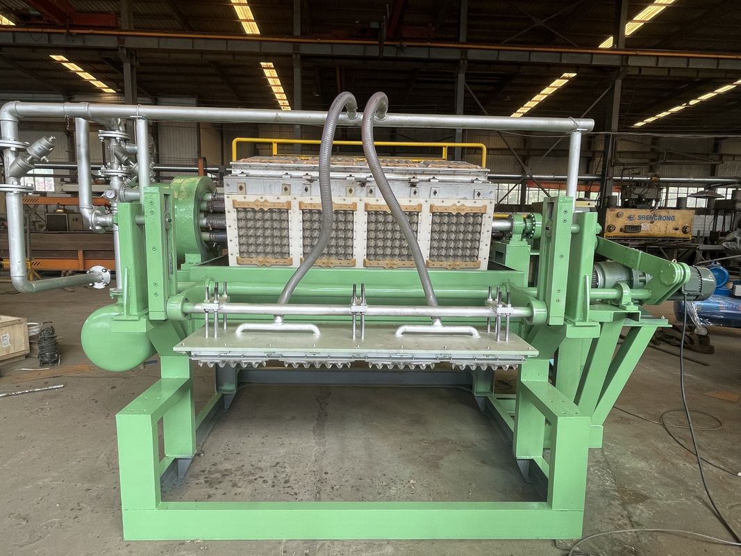Machine de fabrication de cartons d'œufs en papier de couleur verte à faible consommation d'énergie