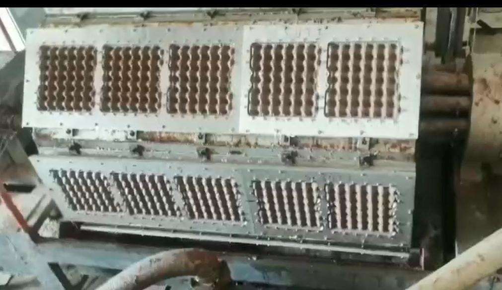 WANYOU Machine à plateaux à œufs moulés en pâte à papier entièrement automatique à contrôle PLC, pressage à chaud 380V 25-50KW 5000 pièces/h