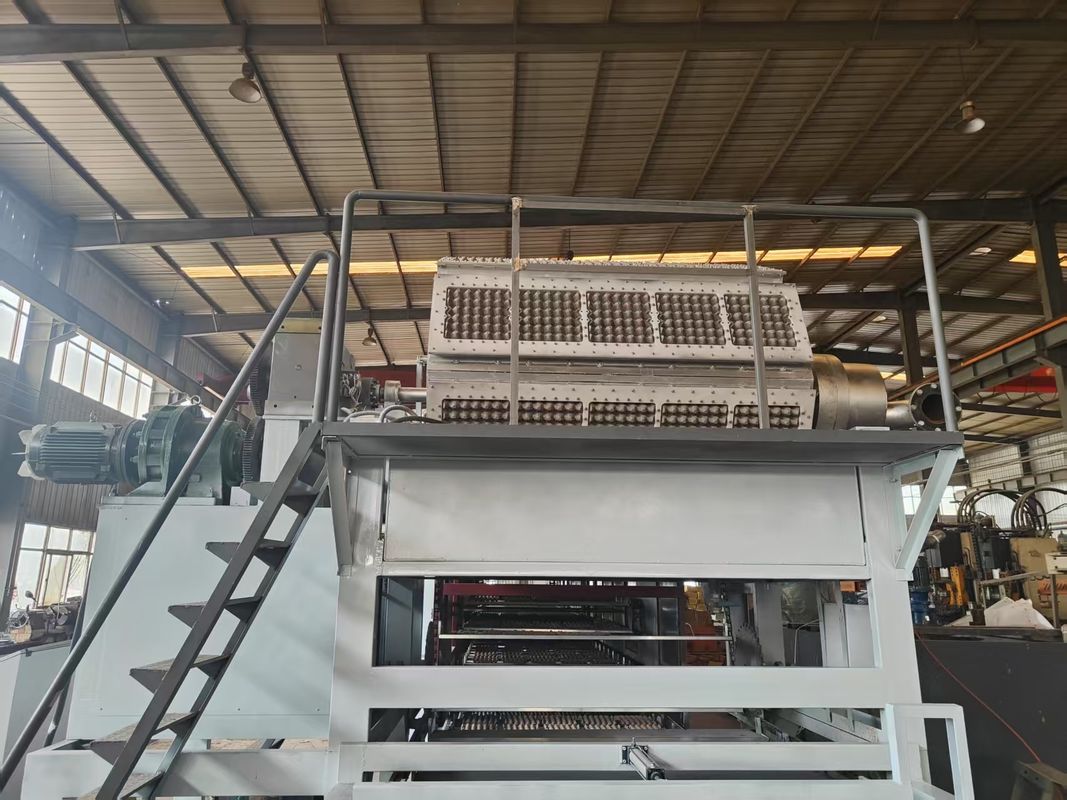 5000 pièces/h ligne de production de plateaux à œufs rotatifs intégrant une technologie d'empilage et de séchage automatique pour une fabrication rationalisée contrôlée par un PLC
