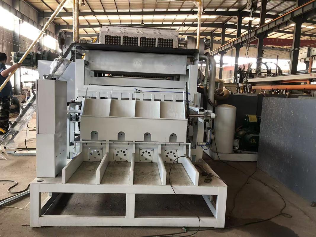 Machine à plateau à œufs en papier recyclé automatique en gros WANYOU, machine à mouler la pâte, panneau d'écran tactile à contrôle PLC, pompe à vide 380V