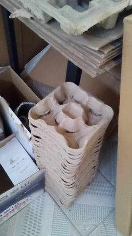 Type rotatoire chaîne de production de plateau d'oeufs de papier grande capacité 1500-5000pcs/h