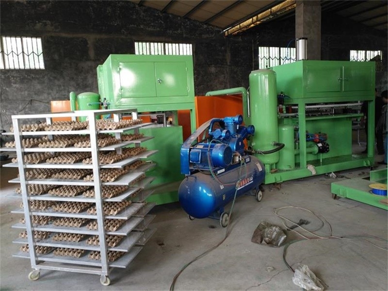 Échange du type oeuf Tray Production Line, machine de bâti de pulpe de papier 20kw-80kw