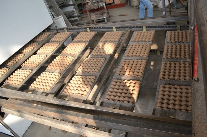 Réduisez en pulpe le plateau automatique de moulage d'oeufs de 6000pcs/heure faisant la machine
