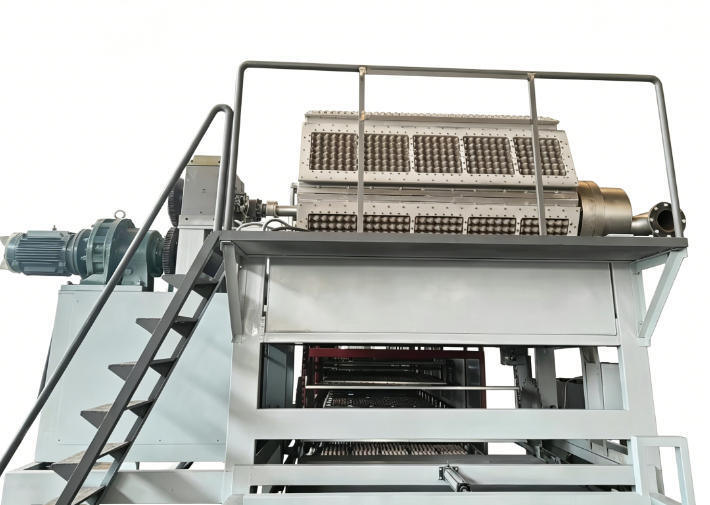 Machine rotative 5000 pcs/h ligne de production de plateau d'œufs en papier avec pulpe complète formant le séchage et les systèmes d'empilage automatique pour le plateau d'œufs en papier Carton d'œufs plateaux de pommes avec 5*8 moules de formage