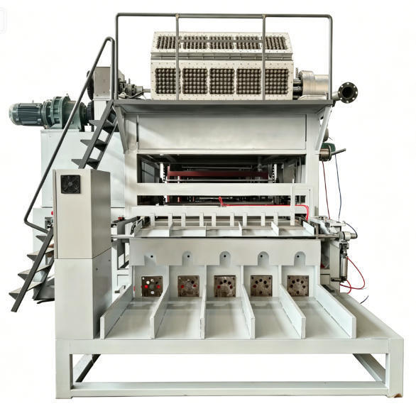 Machine rotative 5000 pcs/h ligne de production de plateau d'œufs en papier avec pulpe complète formant le séchage et les systèmes d'empilage automatique pour le plateau d'œufs en papier Carton d'œufs plateaux de pommes avec 5*8 moules de formage