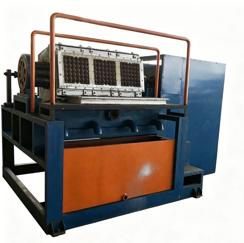 2000-3000PCS/H Rotary Egg Tray Machine | Stable Medium-Capacity Equipment for Growing Factories
