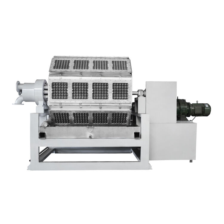 2500-5000 pièces/h Machine à plateaux à œufs en papier pour pommes Ligne de production de boîtes à œufs à économie d'énergie contrôlée par PLC