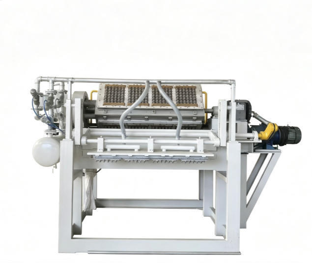 2500-5000 pièces/h Machine à plateaux à œufs en papier pour pommes Ligne de production de boîtes à œufs à économie d'énergie contrôlée par PLC