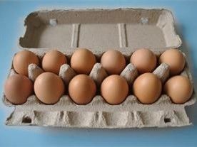 PLC contrôle rotatif type carton d'œuf fabricant machine de carton d'œuf ligne de production machine de moulage de plateau d'œuf