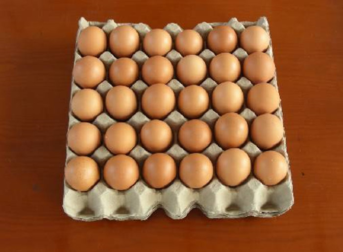 Chaîne de production automatique de plateaux d'emballage d'oeufs de Tray Making Paper Pulp Molding d'oeufs avec l'écurie de la sortie 700pcs/h de suite