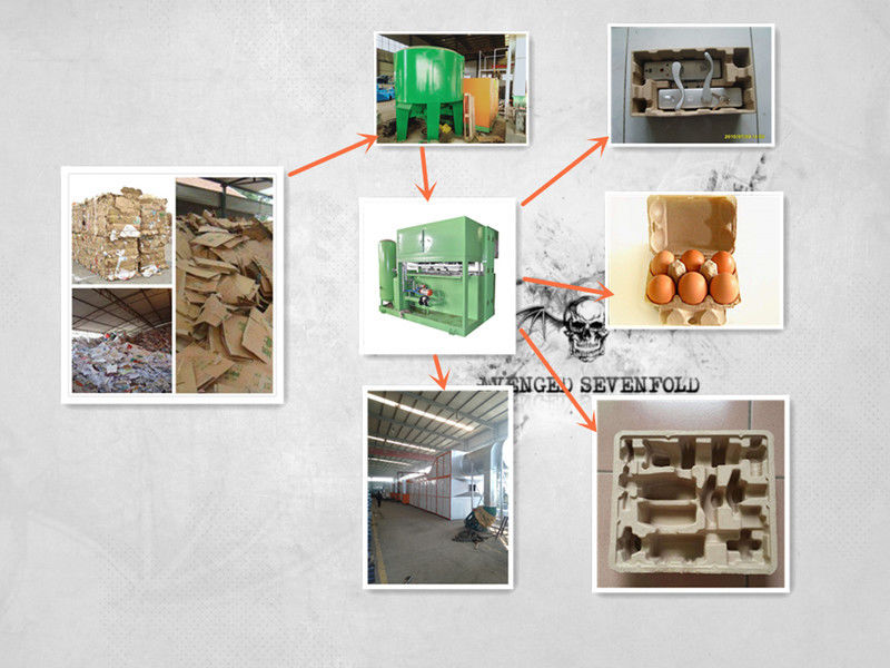 Machine de moulage de pâte à papier 20KW - 150KW, type de traitement, machine de fabrication de plateaux à œufs