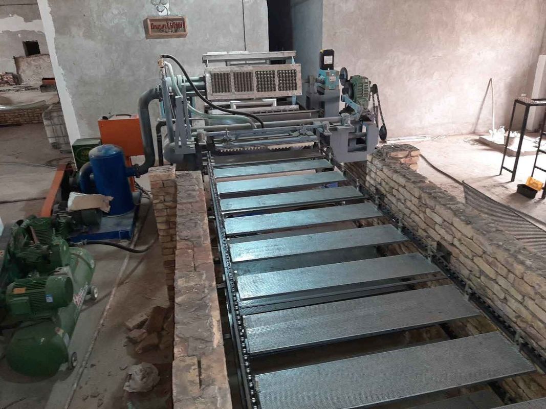Machine automatique de fabrication de plateaux à œufs contrôlée par PLC 5000-6000 pièces/heure