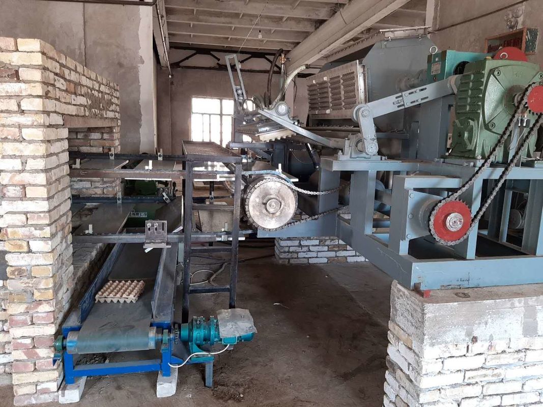 Machine automatique de fabrication de plateaux à œufs contrôlée par PLC 5000-6000 pièces/heure