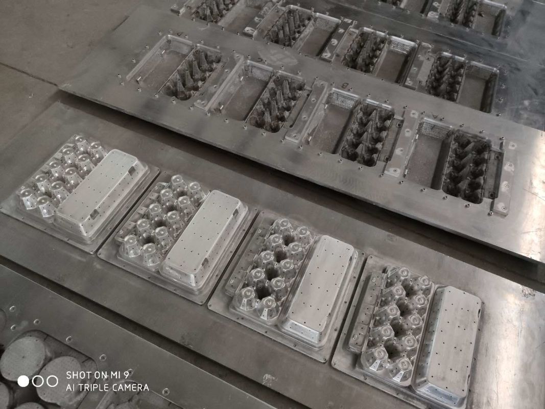 Moule de papier de pulpe de cavité de la machine 20 de plateau d'oeufs pour les produits moulés de pulpe