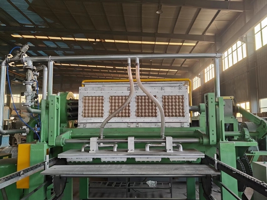 Consommation de papier de papier de l'approbation 300kg/H de la CE de Tray Machine d'oeufs de carton ondulé