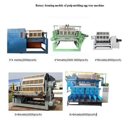 Ligne de production de plateaux à œufs entièrement automatisée dotée d'un panneau de commande intelligent et d'un système de séchage pour une productivité accrue