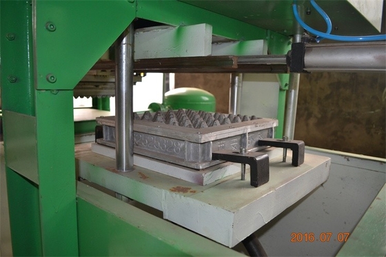 Matériel adapté aux besoins du client d'acier inoxydable de la machine 350 Pcs/h de plateau d'oeufs de papier de rebut de couleur