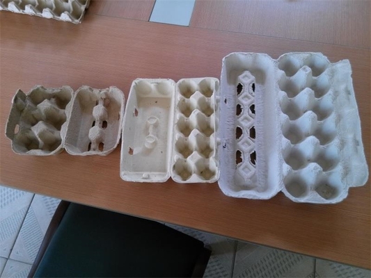 Échangeant le type chaîne de production de plateau d'oeufs machine de bâti de pulpe de petite capacité