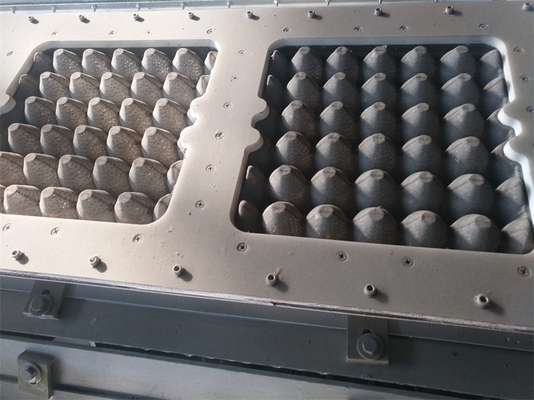 Aluminium adapté aux besoins du client formant des moules pour la cartonneuse de plateau/d'oeufs