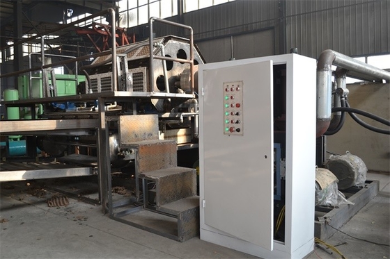 Chaîne de production adaptée aux besoins du client de plateau d'oeufs de papier de rebut, machine de bâti de pulpe de papier
