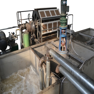Machine de moulage recyclable de pulpe de papier grande capacité 1500pcs/h-6000pcs/h