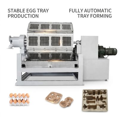 Machine de fabrication de plateaux à œufs avec une production de 10 000 pièces à l'heure, système d'empilage automatique et entrée de papier recyclé pour une production efficace de plateaux de pâte à papier