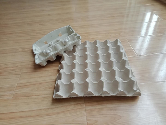 Cartonneuse durable d'oeufs de papier de rebut échangeant le type de formation 1000pcs/H