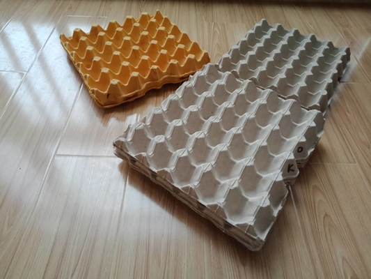 Ligne de production à la machine de plateau d'oeufs de papier de rendement élevé commandée par ordinateur