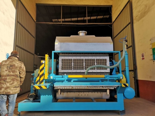 Type rotatoire oeuf de papier Tray Machine Controlled By Computers de grande capacité