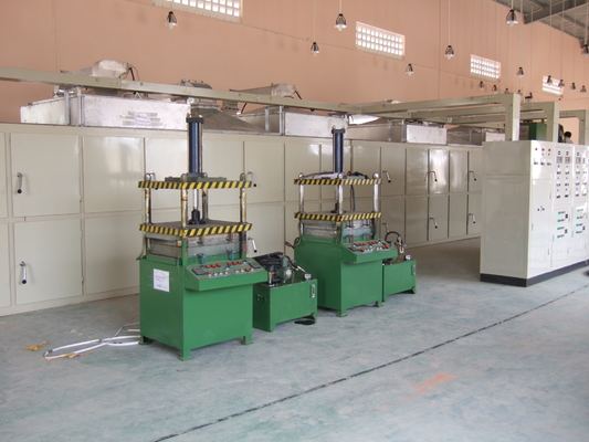 Échangeant le type 30 oeuf Tray Production Line Fully Automatic de boîte