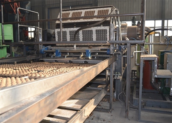 Chaîne de production de papier de plateau d'oeufs commandée par ordinateur avec le rendement élevé