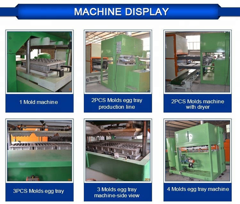 Oeuf Tray Mould Pulp Tray Machine avec le Cabinet de PLC 2 ans de garantie