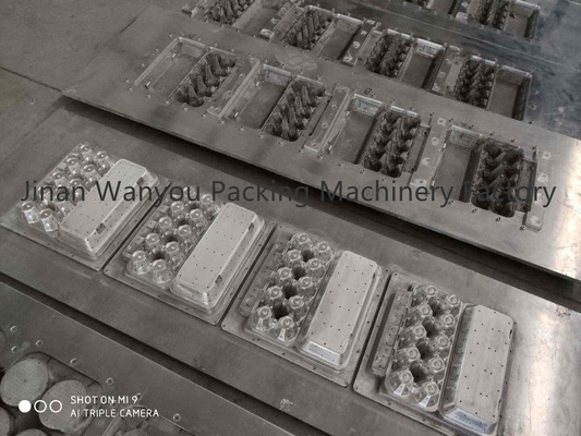 3000pcs/hr empaquettent la cartonneuse d'oeufs équipement de magasin avec la tuyauterie d'aspersion