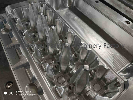 réduisez en pulpe la petite machine de moulage de plateau d'oeufs pour les affaires à la maison avec 2 ans de garantie